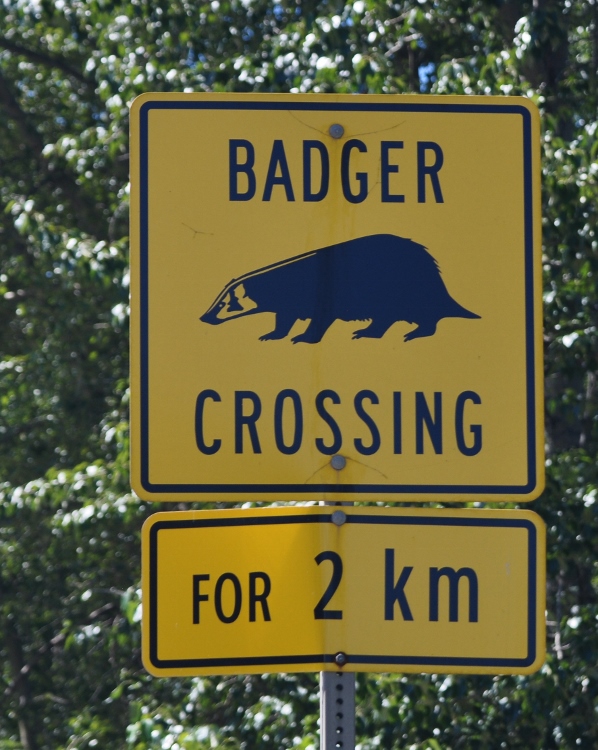 badger crossing sign